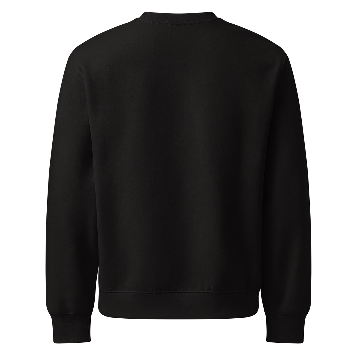 UPBORNE Foundation Crewneck in black, plain back view